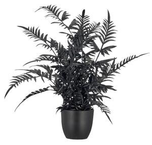 Mömax Umetna Rastlina Pteris Ii -Paz-