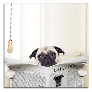 Stenska dekoracija Daily Dog