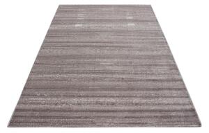 TKANA PREPROGA Plus 8000 200/290 cm tkano bež