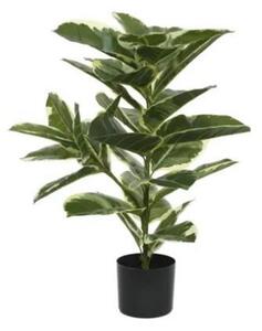 UMETNA RASTLINA 61/76 cm