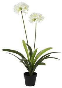 UMETNA RASTLINA 80/105 cm