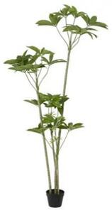 UMETNA RASTLINA 70/180/70 cm