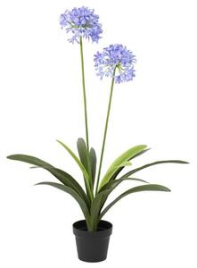 UMETNA RASTLINA 80/105 cm