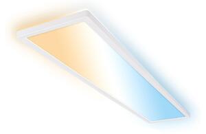 Briloner LED stropna svetilka Tava A, CCT, 98 x 20 cm, bela, daljinski upravljalnik, zatemnjen, Bela, Študija / pisarna, Plastika, Sodobni