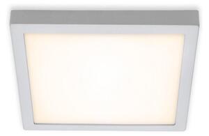 Briloner 7142-014 - LED Stropna svetilka FIRE LED/21W/230V 3000K