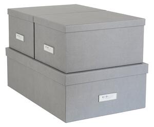Bigso Box of Sweden komplet škatel za shranjevanje Inge (3-pack)