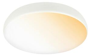 STROPNA LED-SVETILKA Nikan 2200-4000 K