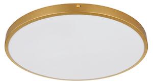 STROPNA LED-SVETILKA Tibey 3000 K 230 V