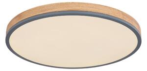 STROPNA LED-SVETILKA Doro 2700-6500 K 230 V