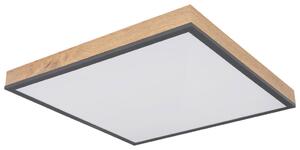 STROPNA LED-SVETILKA 24 W 3000 K 203 V