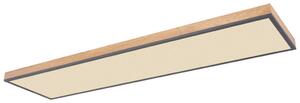 STROPNA LED-SVETILKA DORO 2700-6000 K 230 V