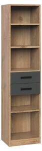 REGALNI ELEMENT 47/198/38 cm barve grafita, barve hrasta