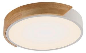 STROPNA LED-SVETILKA 24 W 3000 K 230 V