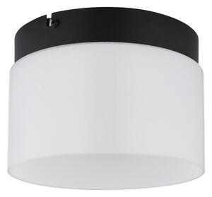 STROPNA LED-SVETILKA TRENTON 3000, 6000, 4000 K 230 V