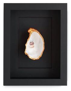 Maria el Mar Uokvirjena stenska dekoracija Maria el Mar Single Oyster 22 x 17 cm