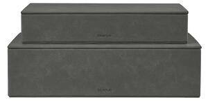 Blomus Komplet škatel za shranjevanje Blomus Sahla 35 × 25 × 7 / 40 × 30 × 11 cm 2-pack