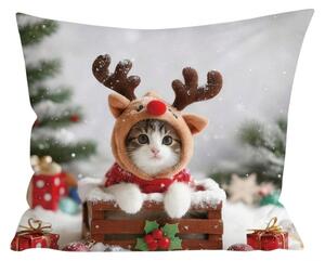 3D prevleka za blazino iz mikrovlaken RUDOLPH KITTEN 45x45 cm, barvita