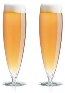 Eva Solo Komplet kozarcev za pivo Eva Solo 0,5 L 6-pack
