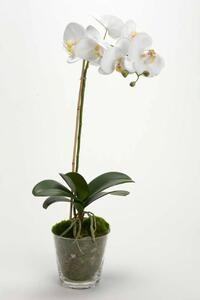 Umetna rastlina v loncu home & lifestyle 63.5 cm