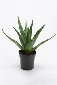 Umetna rastlina v loncu home & lifestyle 38 cm