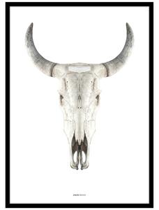 Plakat z okvirjem 50x70 cm Cow Skull – Malerifabrikken