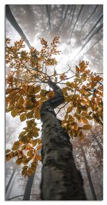 Stenska dekoracija Albero