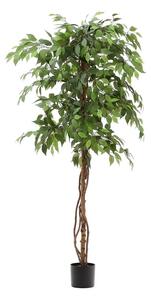 Umetni fikus (višina 180 cm) Ficus – Kave Home