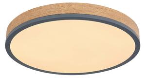 STROPNA LED-SVETILKA 2700-6500 K 230 V