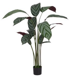 Umetna rastlina (višina 150 cm) Calathea – Ixia