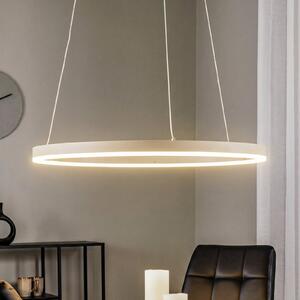Arcchio LED-visoka svetilka Albiona, bež, 1 obroč, Ø 60 cm, zatemnjen, Bež, Kuhinja, Kovina, Sodobni