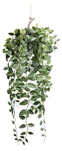 Modern Living Umetna Rastlina Epipremnum I
