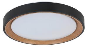 STROPNA LED-SVETILKA 24 W 2500 lm 3000-6500 K 220-240 V