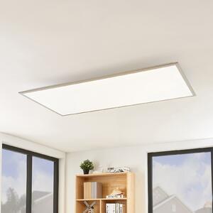 Lindby LED panel Stenley, CCT, 120 cm x 60 cm, z možnostjo zatemnitve, zatemnjen, Bela, Kuhinja, Plastika, Sodobni