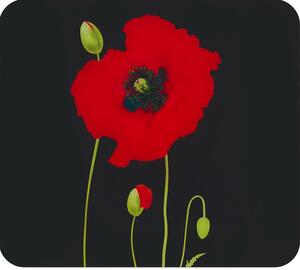 Stenska zaščitna plošča za štedilnik iz kaljenega stekla 50x56 cm Poppy – Maximex