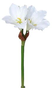 Umetni Amaryllis bele barve, 52 cm