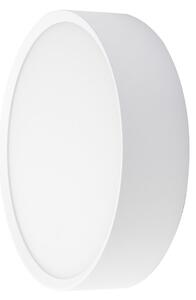 BRUMBERG LED-stenna svetilka za zunanjo uporabo EYE, odprta, bela, CCT, IP65, Bela, Hodnik, Aluminij, Sodobni