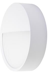 BRUMBERG LED-stenna svetilka za zunanjo uporabo EYE, polodprta, bela, CCT, IP65, Bela, Hodnik, Aluminij, Sodobni
