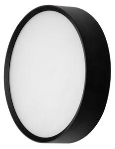 BRUMBERG LED-stenna svetilka za zunanjo uporabo EYE, odprta, črna, CCT, IP65, Črna, Hodnik, Aluminij, Sodobni