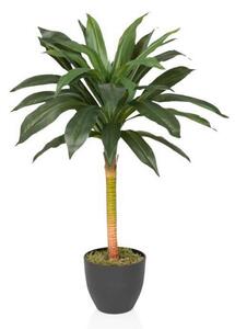 MID.YOU Umetna Rastlina Dracaena I