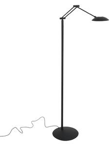 Steinhauer LED-stoječa svetilka Daphne 2, 1-žarnica, črna, CCT, daljinski upravljalnik, zatemnjen, Črna, Dnevna soba / jedilnica, Kovina, Sodobni