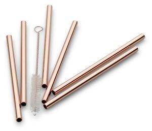 Echtwerk Set Slamic S Krtačko Straw, 6-Delni