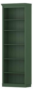REGAL 74/223/37 cm zelena