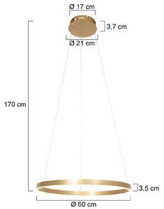 Ringlux LED viseče svetilo, Ø 60 cm, 2 luči, zlato