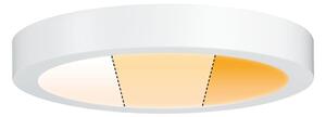 Paulmann 79799 - LED/19W Stropna svetilka CARPO 230V 2300/2500/3000K