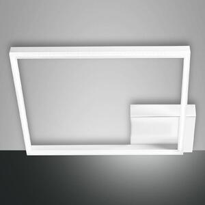 LED stropna svetilka Bard 42x42cm, 1-svetlobna, bela