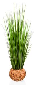 MID.YOU Umetna Rastlina Cortaderia