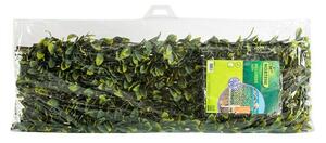 Nortene Okrasna ograja Willgreen (Do x V: 2 x 1 m, Vrba)