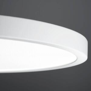 LED viseča svetilka VIVAA 2.0 Ø60cm kabel bela 3.000K