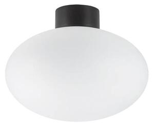 Ideal Lux - Zunanja stropna svetilka CLIO 1xE27/42W/230V IP44 črna