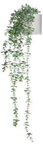 MID.YOU Umetna Rastlina Eucalyptus Climb